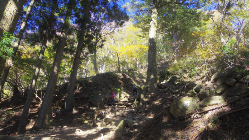 �}��̓o�R��