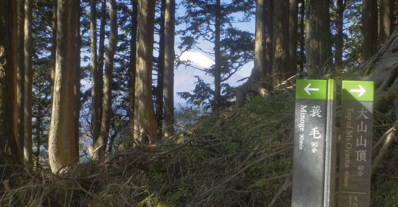 �\�Z���ږ{��Ǖ��̎��؂̊Ԃ���x�m�R