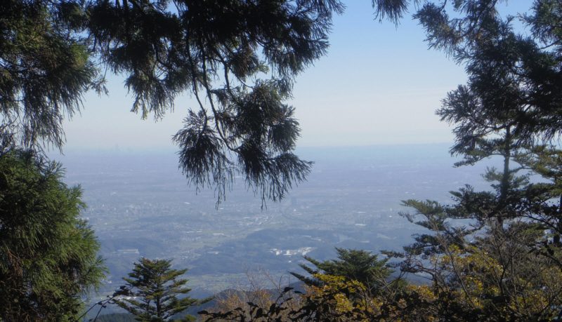 �\�Z���ږ{��Ǖ�����̑��͘p