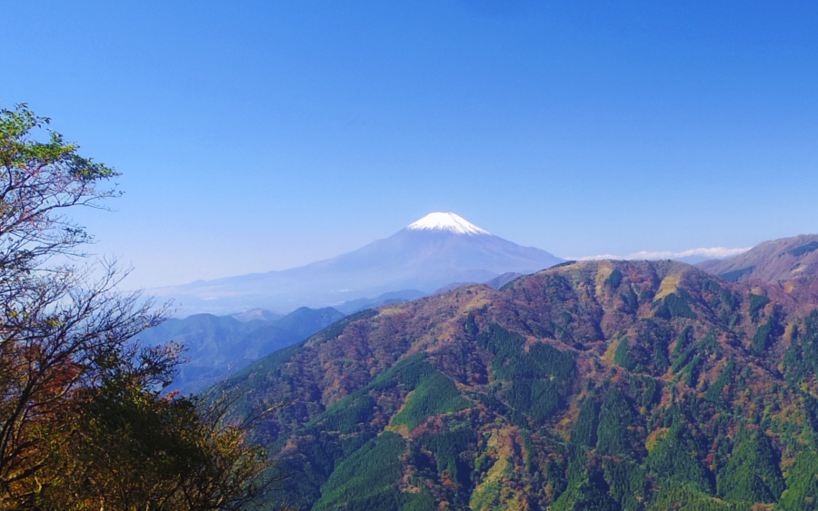 ���r�c�����򉡂̕x�m�R�W�]�n����̒O��R�n�ƕx�m�R