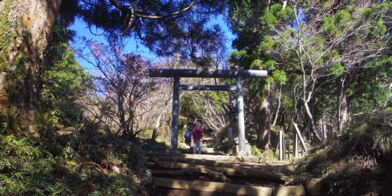 ��R��\�����ڌ䒆���B