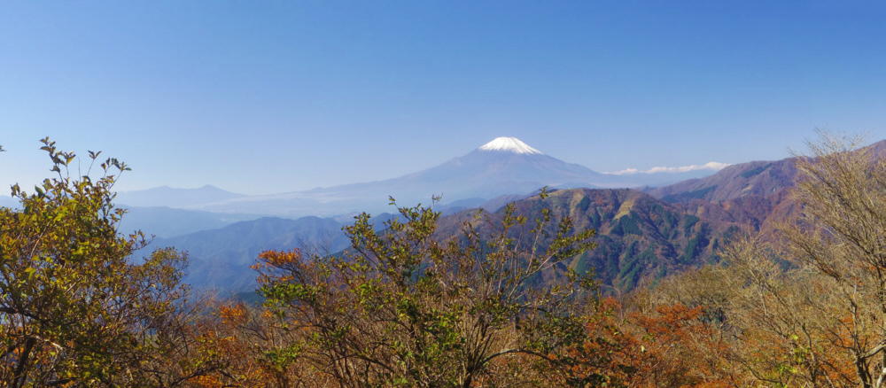 ��R��\�����ڌ䒆��������̕x�m�R