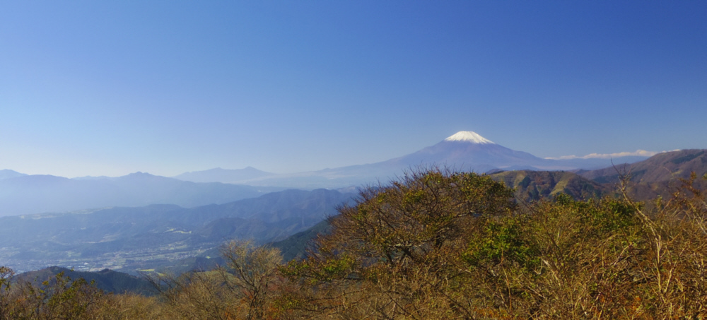 ��R��\�����ڌ䒆��������̕x�m�R