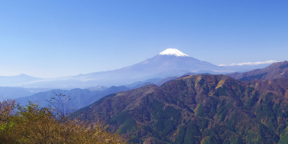 ��R�R���k���̓W�]�䂩��̕x�m�R