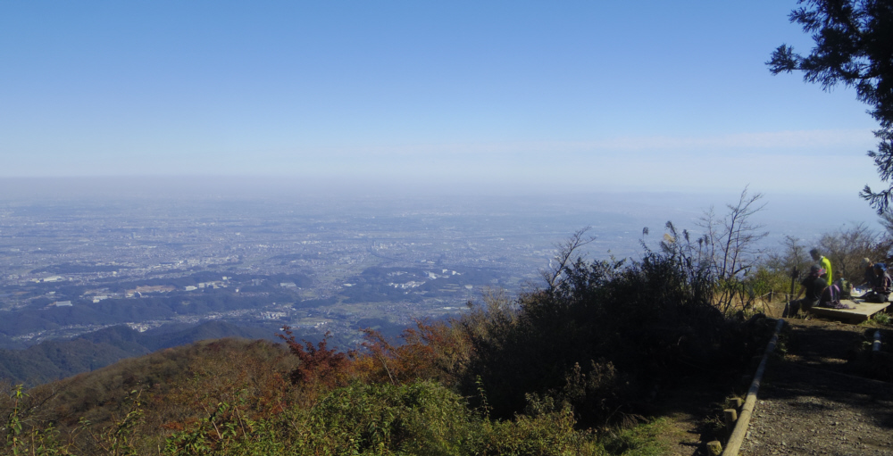 ��R�̑��͘p�W�]�L��