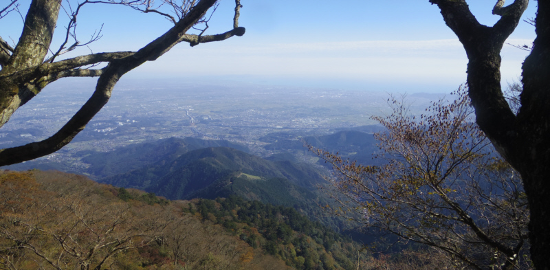 ���͘p�������܂�