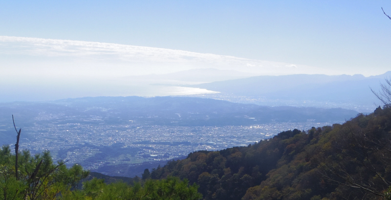 ��R����̉��R������^�ߔ����ƈɓ�����