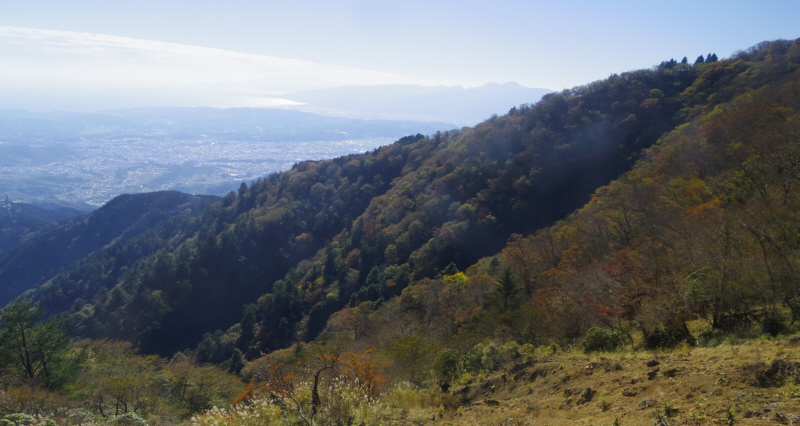 ������Ă���Ƃ���͗��̕�����