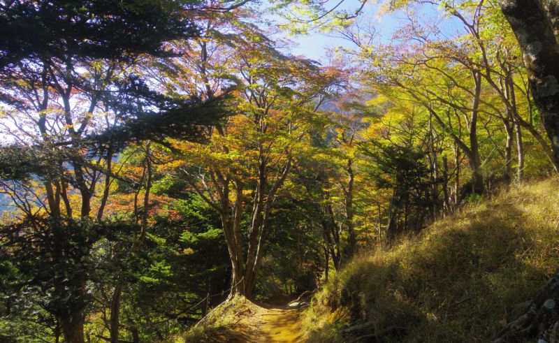 ������ւ̓�