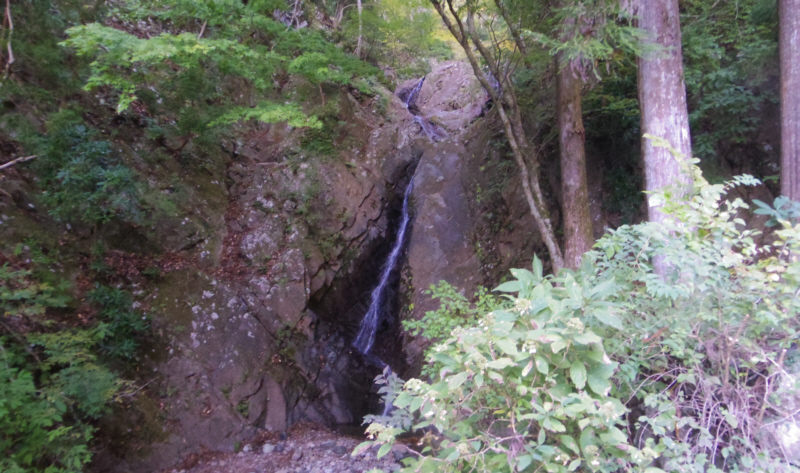 ��R�̓�d��