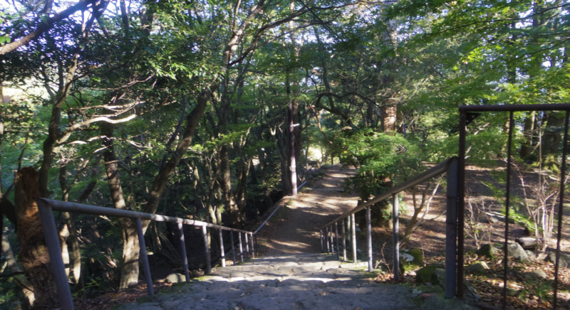 ���v���_�Љ��Љ��̃g�C�����̊K�i