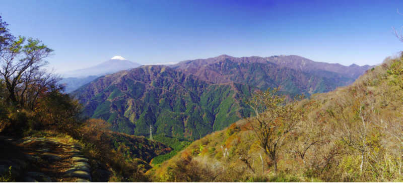 <font size="+0">���r�c�������򂩂�3���قǉ������Ƃ��납��̕x�m�R</font>