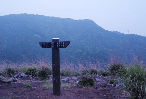 �T���V���E�o���̋u