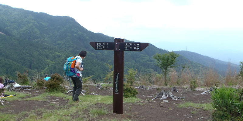 サンショウバラの丘
