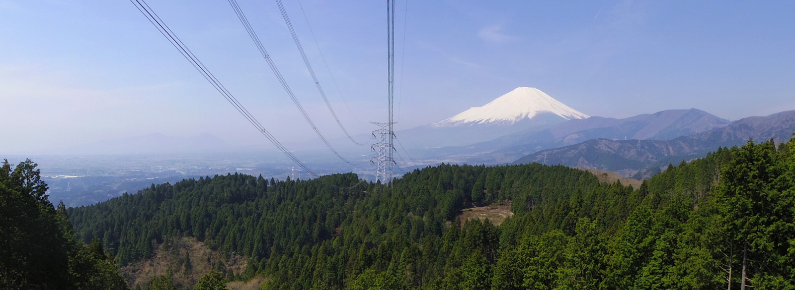 �s�V�R�����̔��̒n�E�S���̕x�m�R�W�]�n����