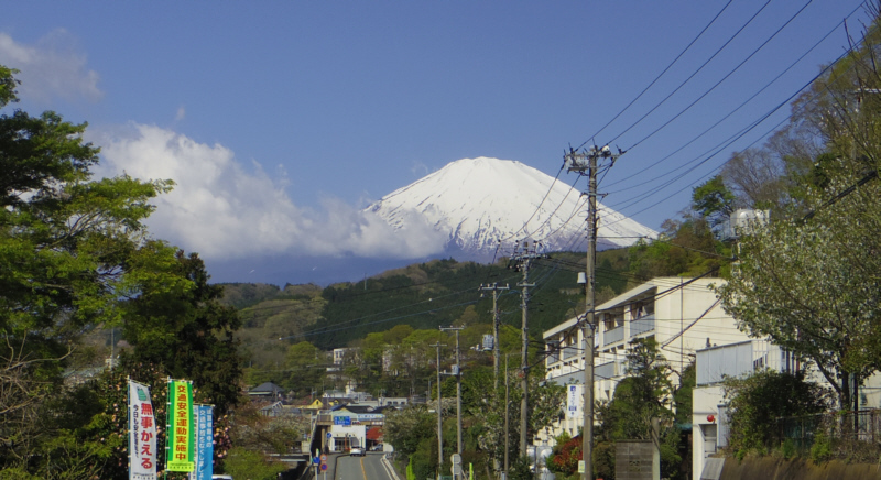 �U��Ԃ�ƕx�m�R