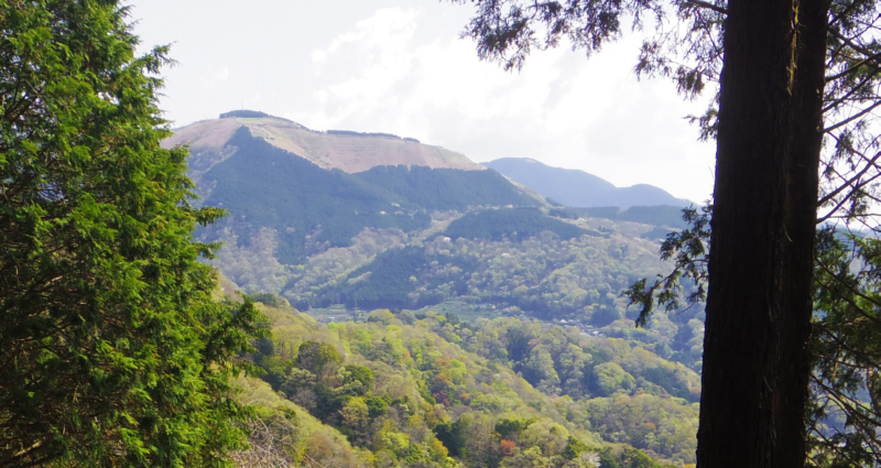 ���R��������Ƃ���ŋx�e