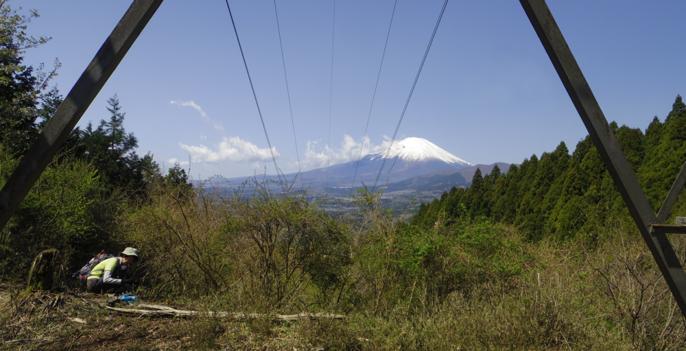 ���S������̕x�m�R