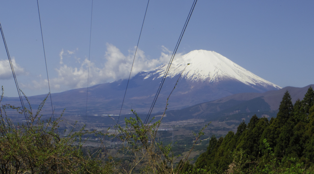 �x�m�̐���ɓd��������