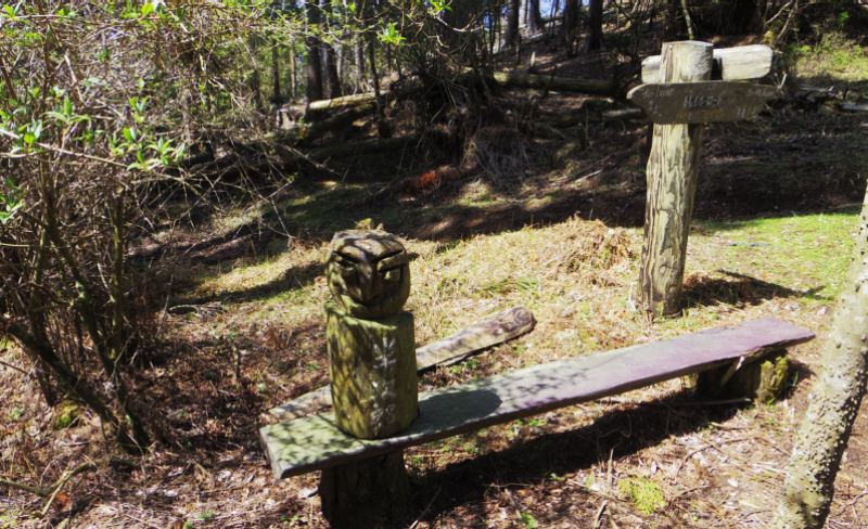 ���y�R����