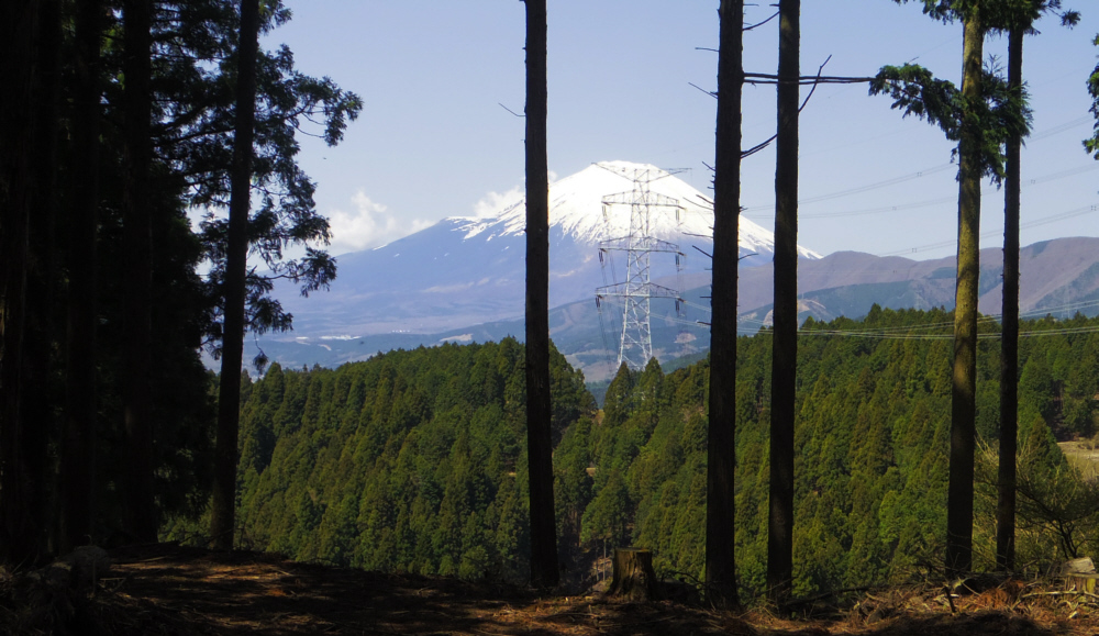 ���؂̊ԂɓS���ƕx�m�R