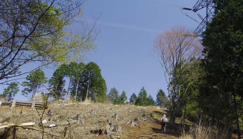 ��O�S��������W�]�n