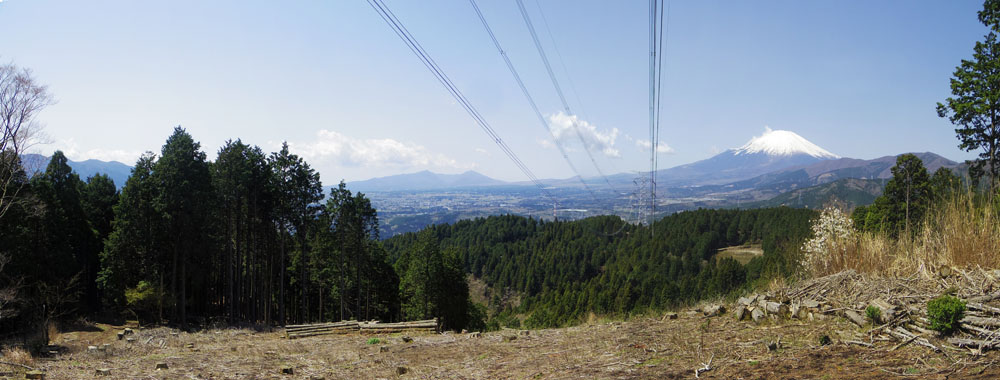 ��O�S��������W�]�n����̕x�m�R