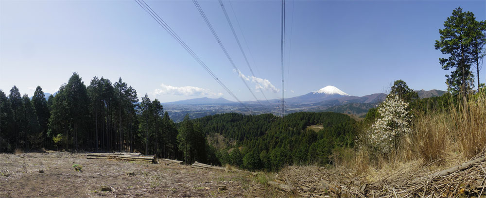 ��O�S��������W�]�n����̕x�m�R