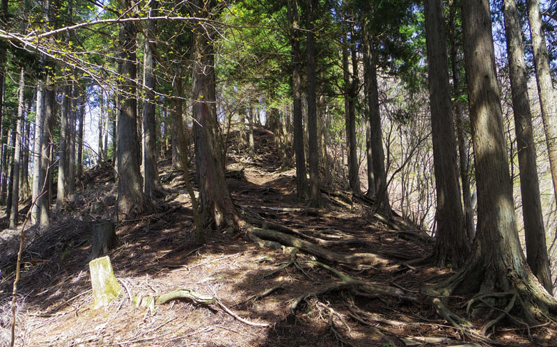 ���ɐi�ޓo�R��