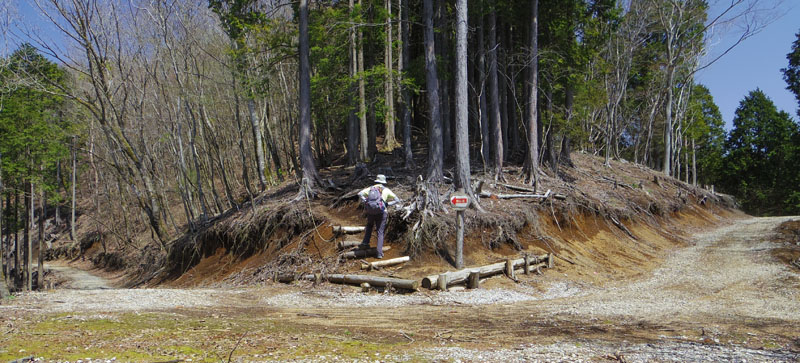 �����h�E�����n�_