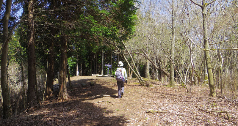 �s�V�R���