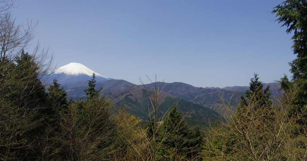 �s�V�R��􂩂�̕x�m�R