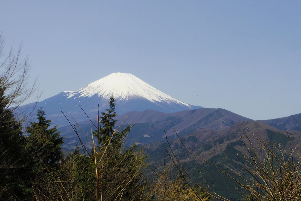 �s�V�R��􂩂�̕x�m�R