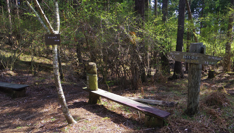 ���y�R����