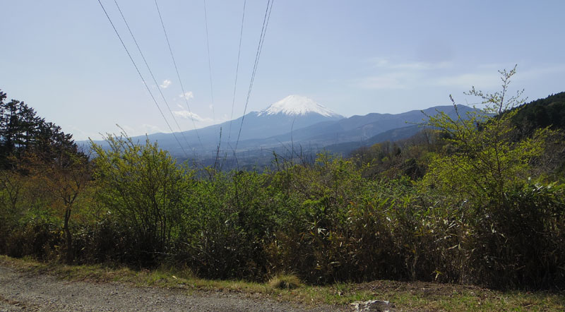 ���R������̕x�m�R