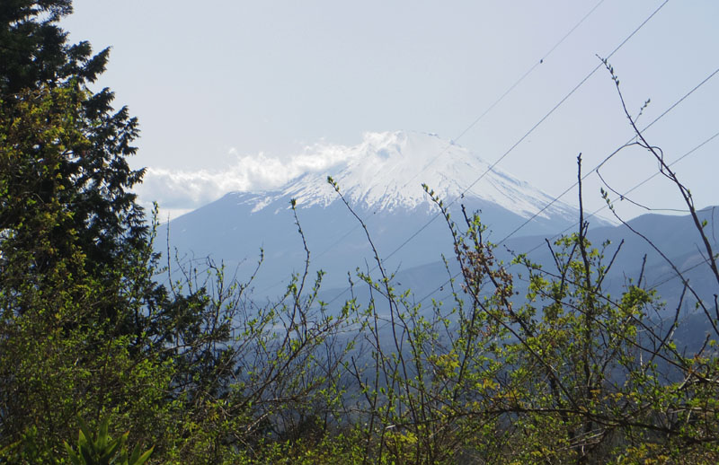 �_��������x�m�R