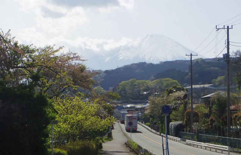 �ԓ�����̕x�m�R