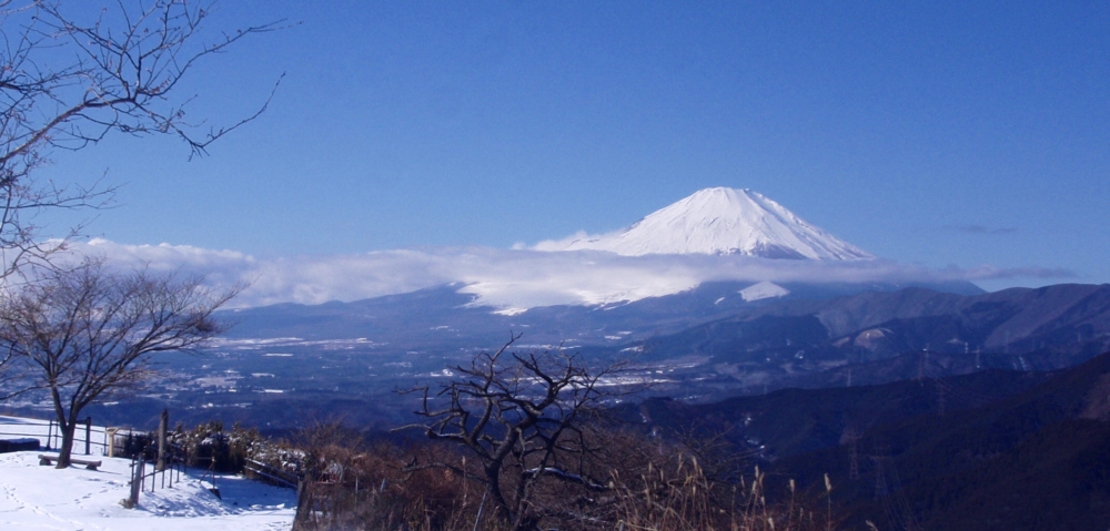 ���R�R������̕x�m�R