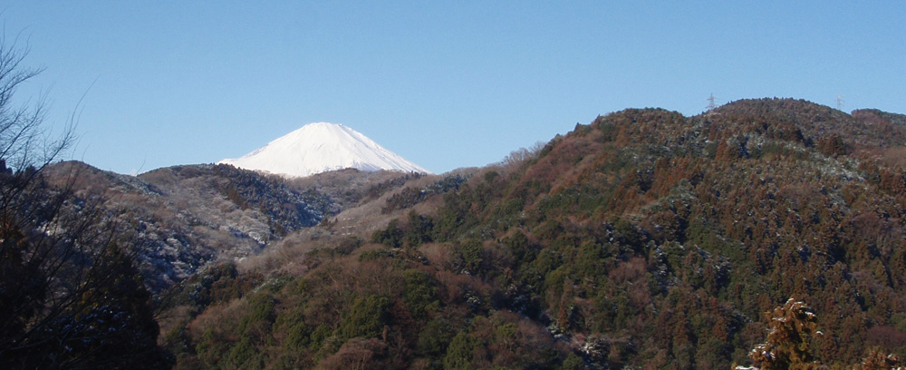 ���a���w�Z������x�m�R�R����