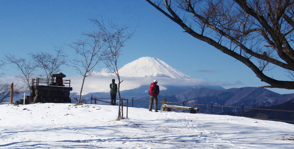 ���R�R������̕x�m�R