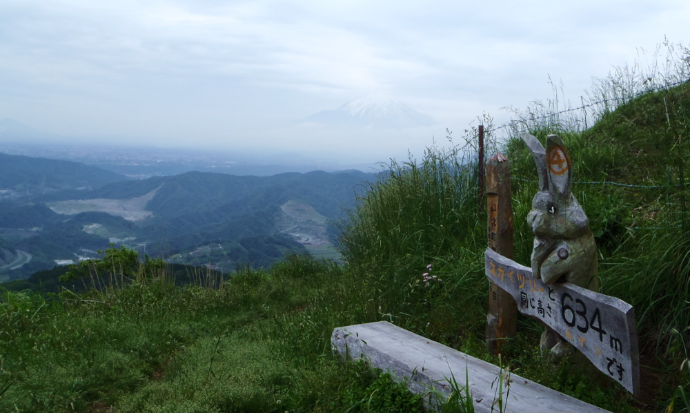 �X�J�C�c���[�Ɠ����W��634���̃E�T�M