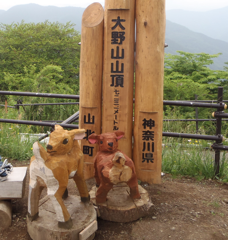 ��R�R���@�W��723.1m�̃V�J�̐e�q