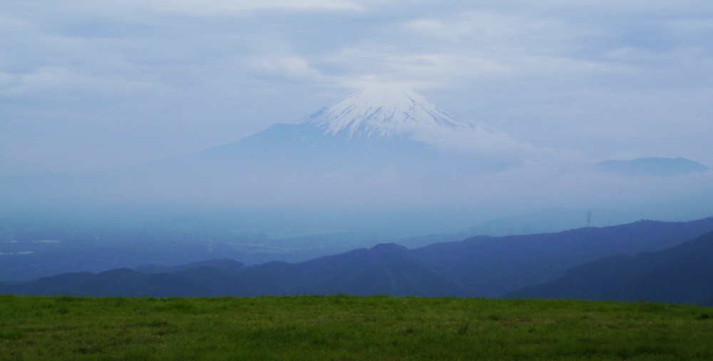 ���R�R������̕x�m�R��