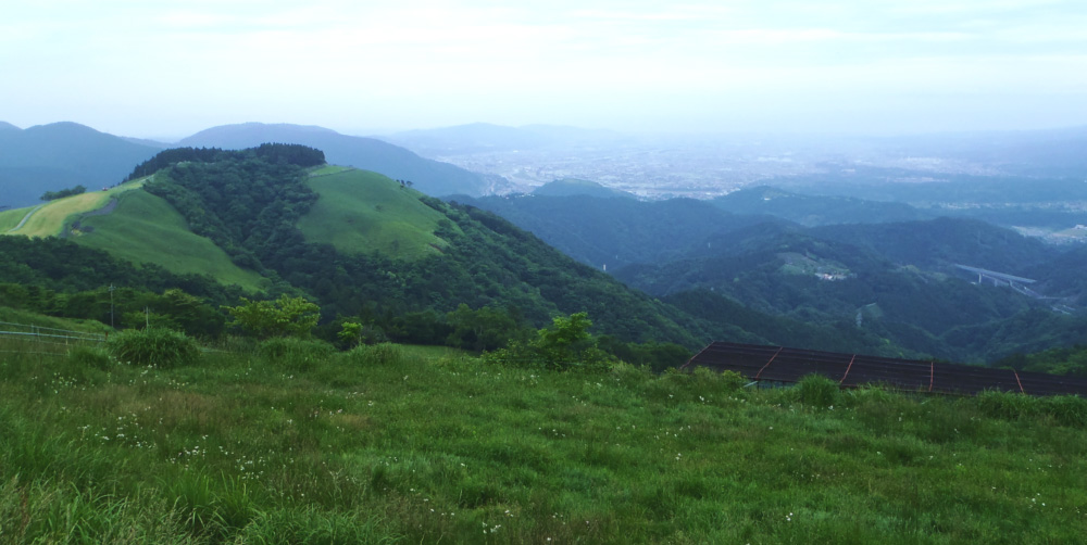 6���A���R�R���`�C�k�N�r�����瑊�͘p