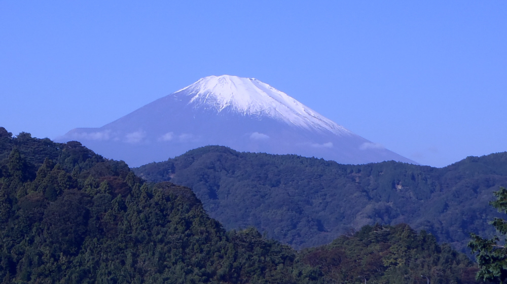 ���o�R���̎�O����̕x�m�R