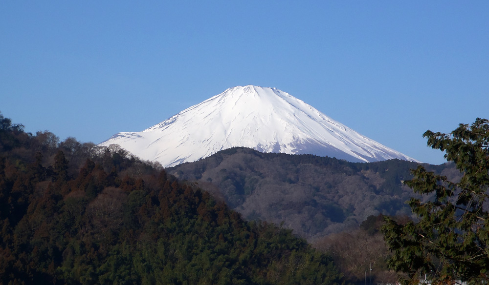 ���R���o�R���̎�O����̕x�m�R