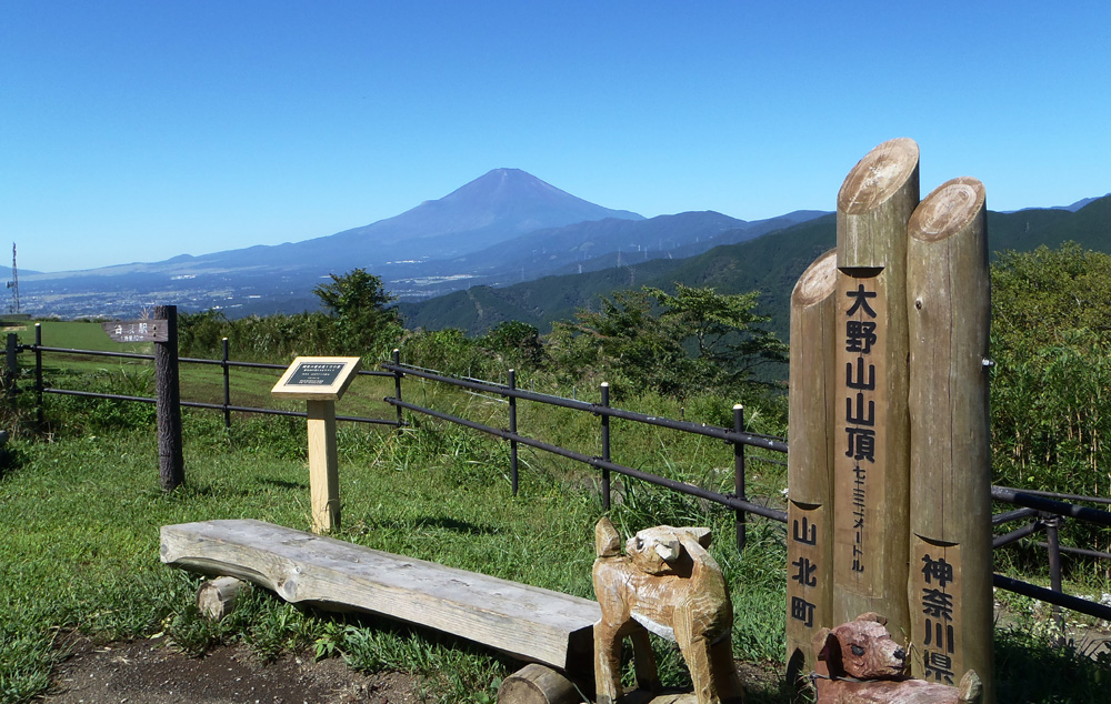 ���R�R������̕x�m�R