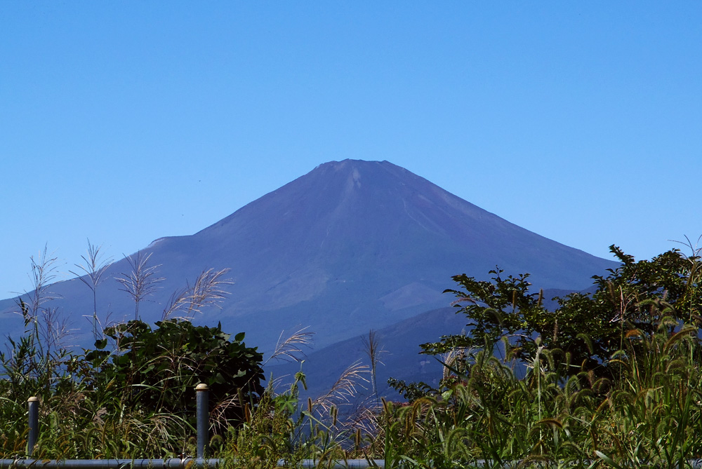 ���R�R������̕x�m�R