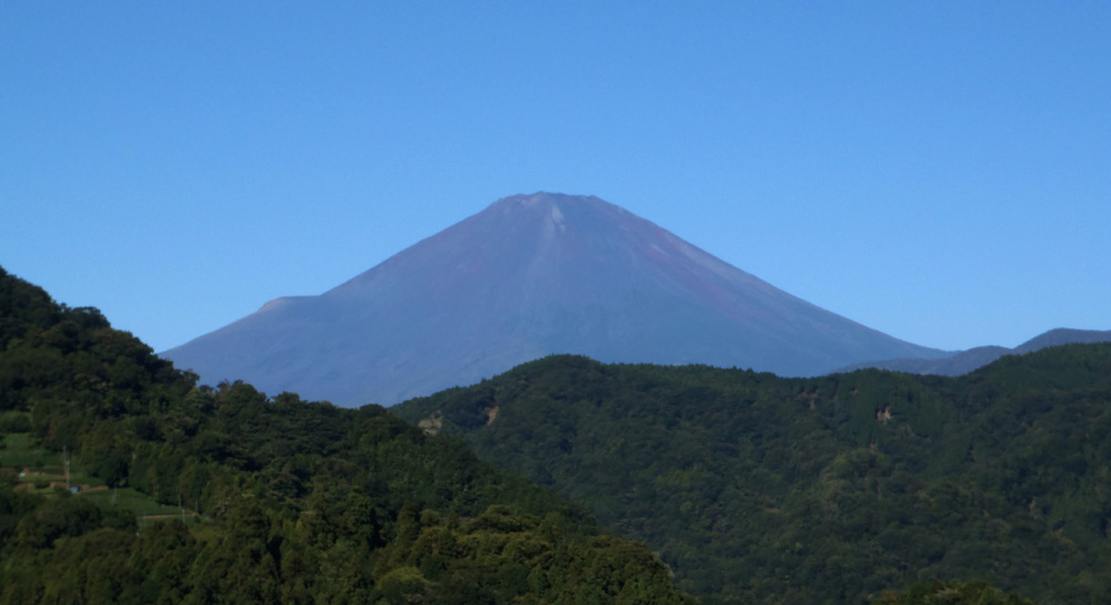 ���R�o�R��������3������̕x�m�R