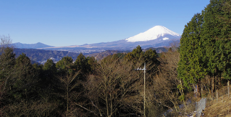 �����̂�܂���x�m�R�ƈ���R